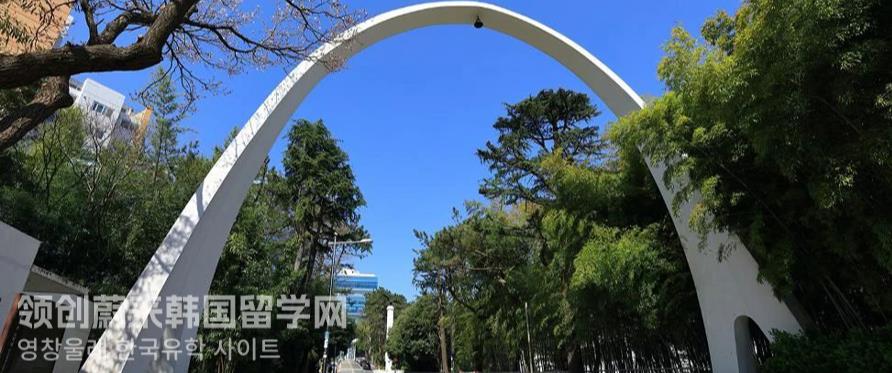 2023年釜山大学本科有什么热门专业？