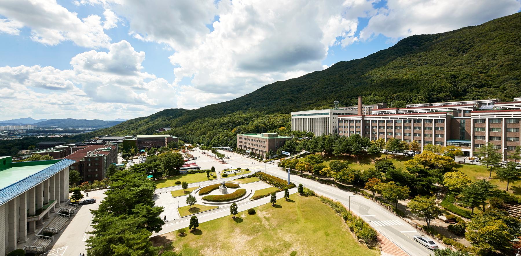 统招专升本太卷了，不如选择韩国大真大学1年制专升本，学制短1年即可毕业！