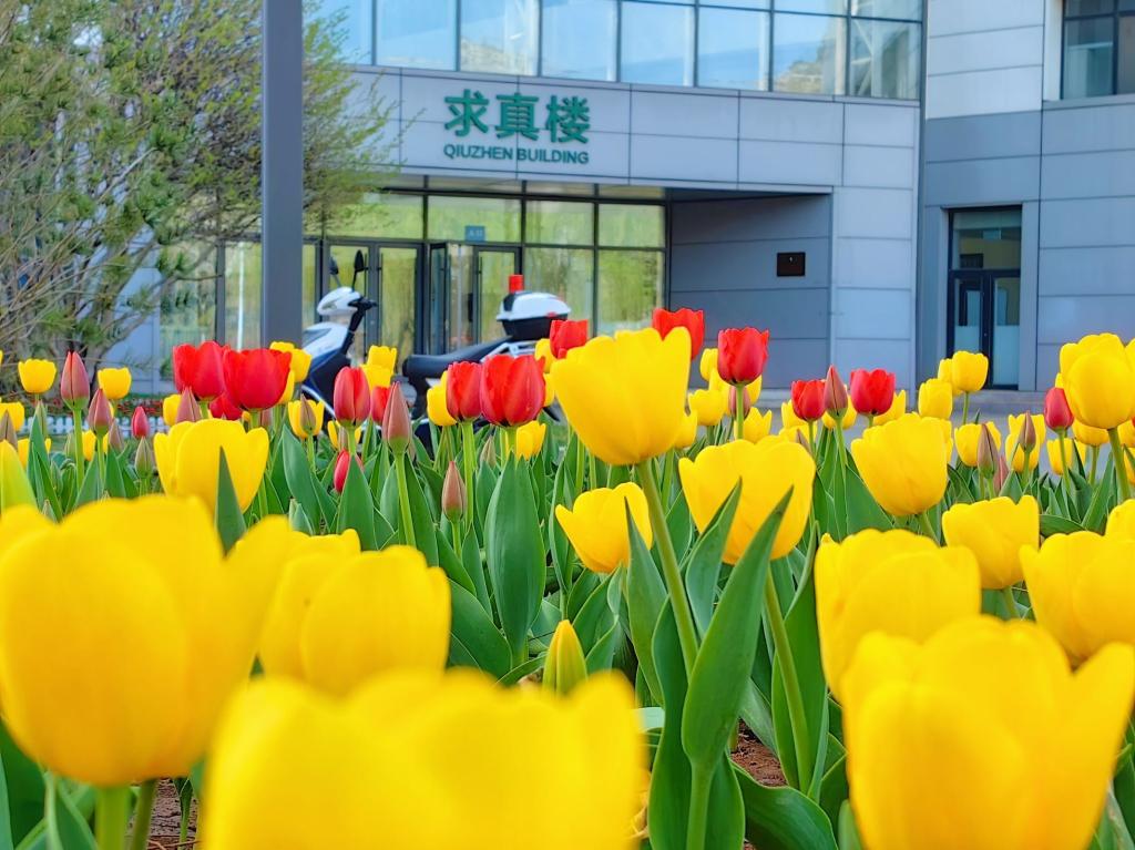 高考上岸失利，别灰心，还可以报名山东女子学院韩国庆北大学顶级名校培养预科班，让你就读全日制名校本科！