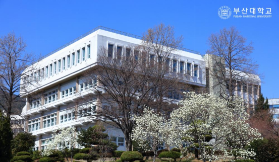 釜山大学