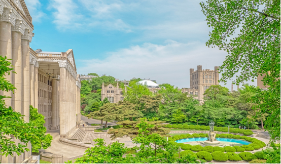 高中毕业生就读山东女子学院与韩国庆熙大学联合顶级名校培养本科班，可以选择哪些热门专业？