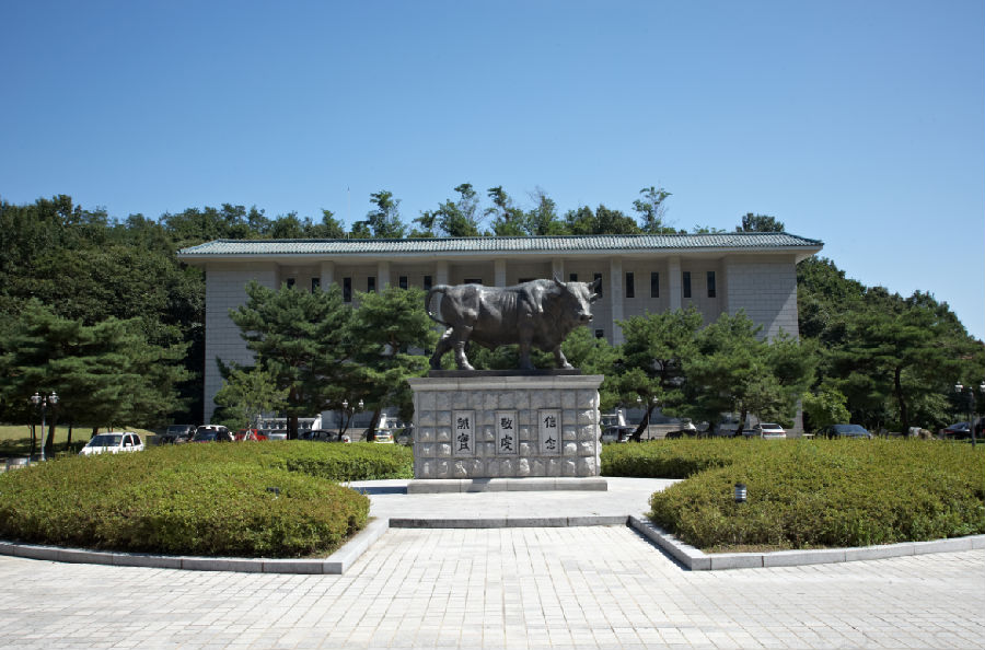 大真大学